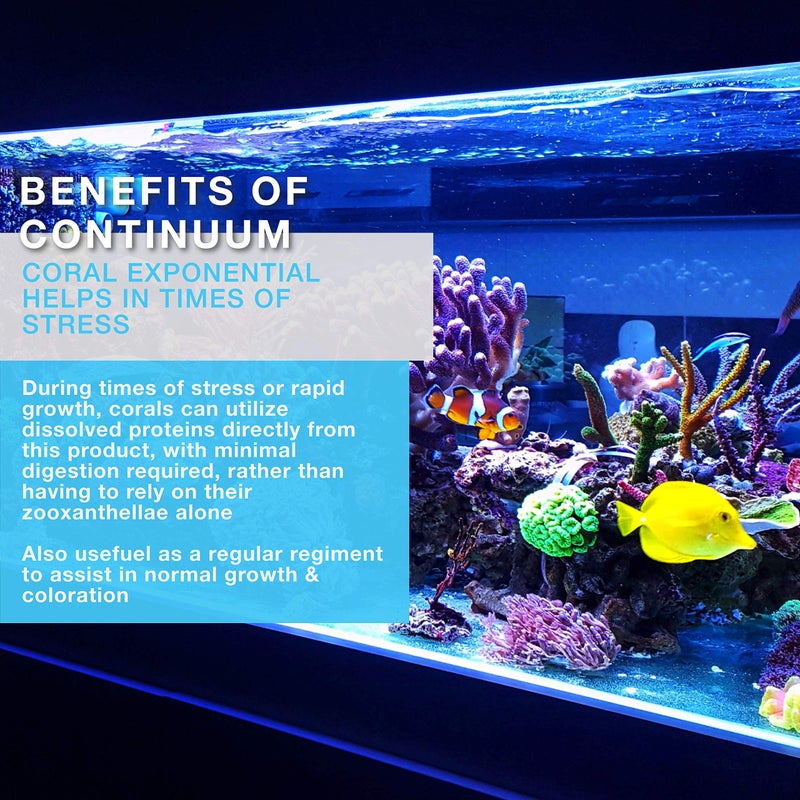 Continuum Aquatics Coral Exponential - Coral Growth Accelerator & Amino Acid Complex for Live Corals & Reef Aquaria, 2 Liter - Image 4